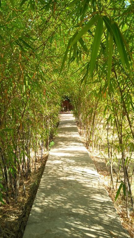 Villa Du Souss アガディール エクステリア 写真